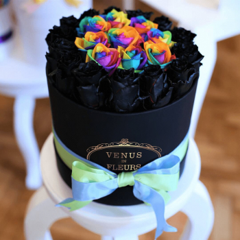 Радужные с окантовкой - 19 шт.