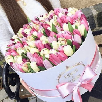 Тюльпаны в коробке - 101 шт. Тюльпаны в коробке - 101 шт.