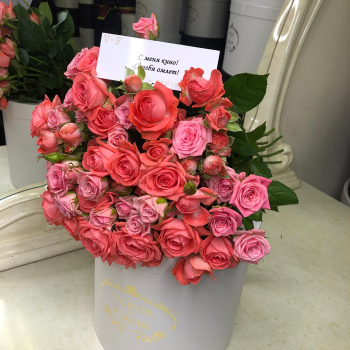 31 нежная кустовая роза