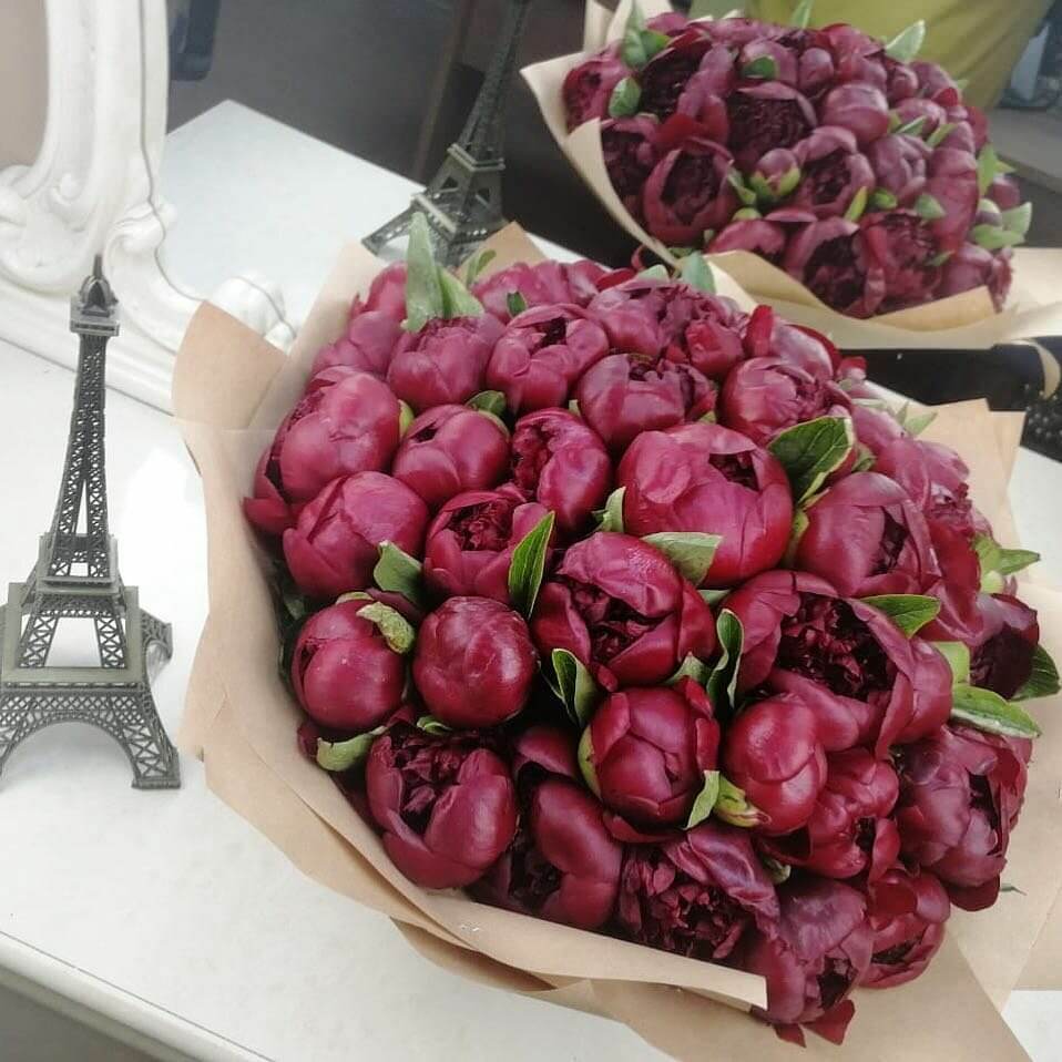 Букет красных пионов от 9 шт.