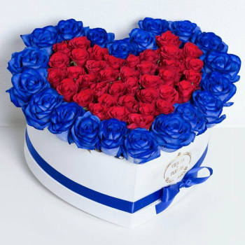 81 красная роза с синей окантовкой - сердце