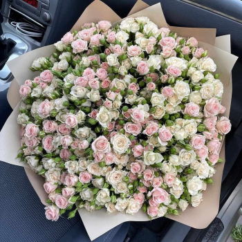 81 нежно-розовая кустовая роза в букете 81 нежно-розовая кустовая роза в букете