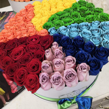 81 разноцветная роза - радуга