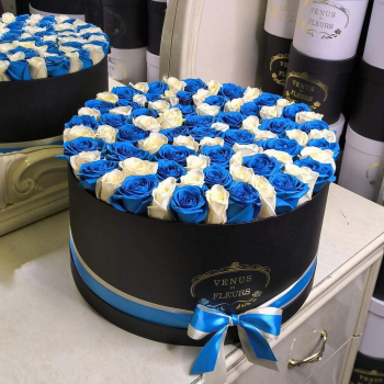 81 бело-синяя роза в коробке