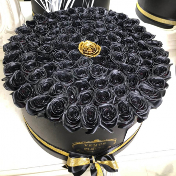 81 черная роза в коробке 81 черная роза в коробке