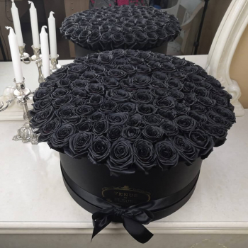 81 черная роза в коробке 81 черная роза в коробке