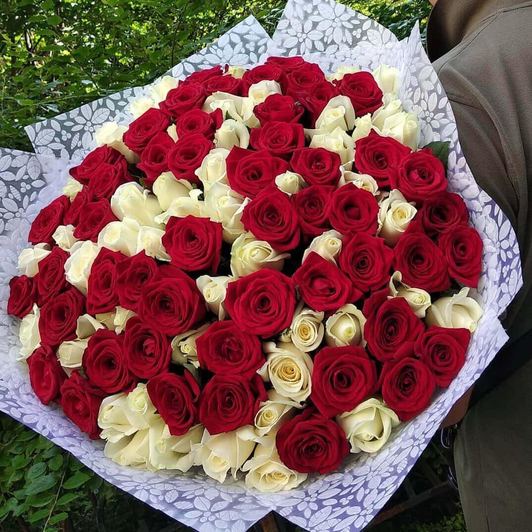 Красно-белый букет из 81 розы