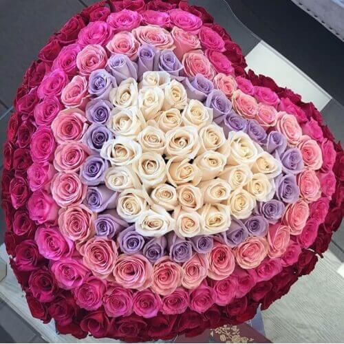 151 роза в сердце - нежная радуга