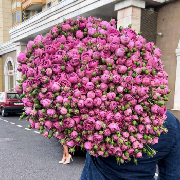 Букет пионовидных розовых роз - 151 шт.