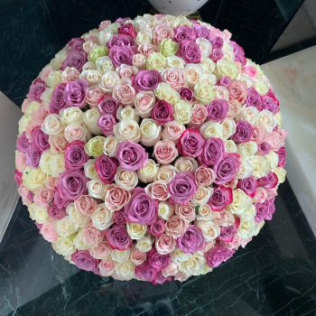 301 нежная роза в букете - 70 см.