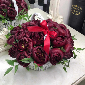 Бордовые пионы в корзине - 25 шт.