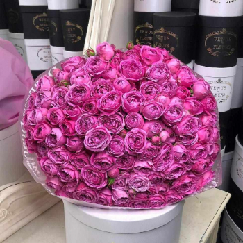 Букет пионовидных розовых роз - 55 шт.