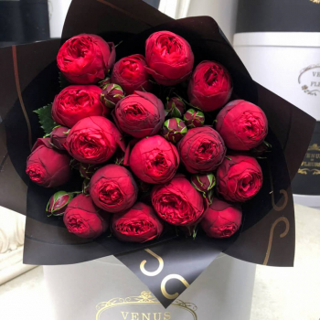 Букет бордовых пионовидных роз от 9 шт.