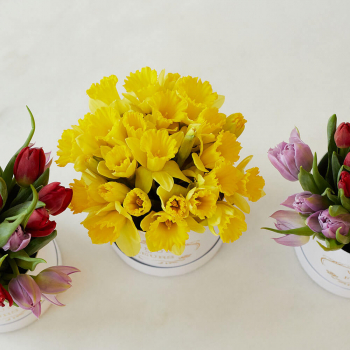 Желтые нарциссы в коробке - 29 шт. Желтые нарциссы в коробке - 29 шт.