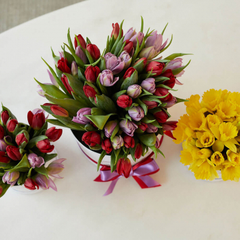 51 тюльпан в коробке