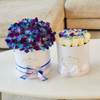 Подарочный набор - 81 шт.