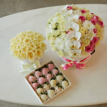 Подарочный набор - 85 шт.