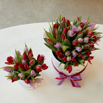 Тюльпаны в подарочном наборе - 77 шт.