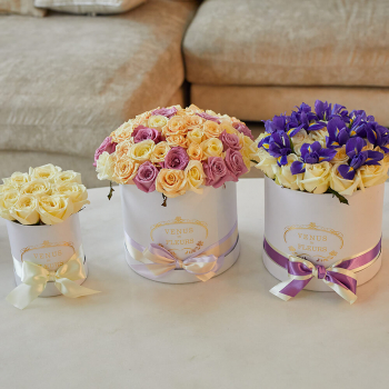 Подарочный набор - 101 шт.