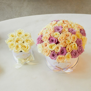 Подарочный набор - 71 шт.