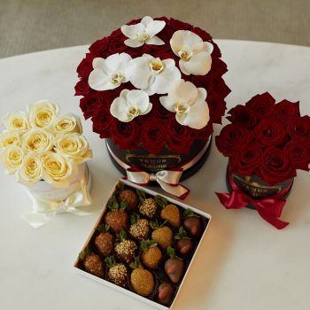 Подарочный набор - 65 шт.