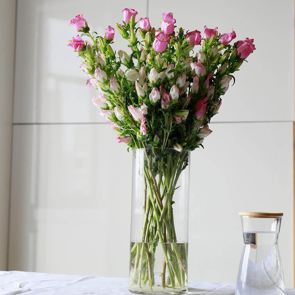 Букет из компанулы от 9 шт.