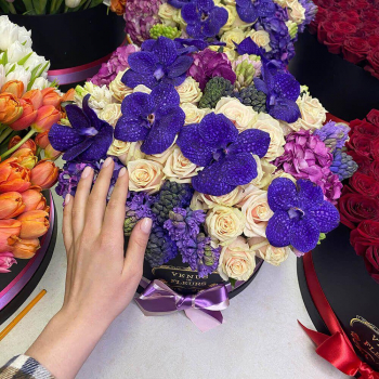 Микс из гиацинт и орхидей - 51 шт.