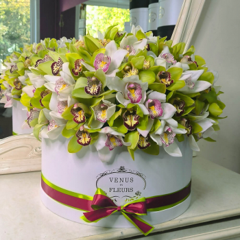 Бело-зеленый микс из орхидей от 25 шт.