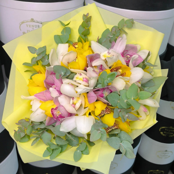 Разноцветные орхидеи от 15 шт.