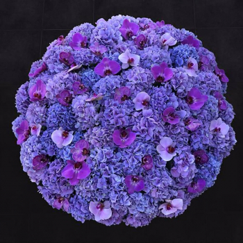 Гортензии с орхидеями - 51 шт.