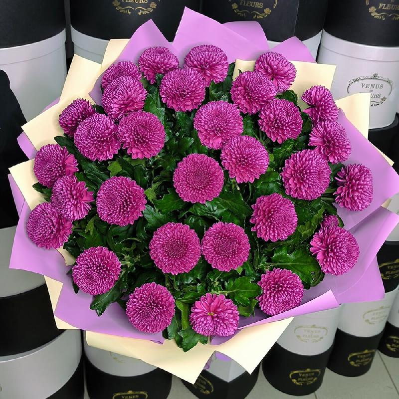 Фиолетовые хризантемы от 19 шт.