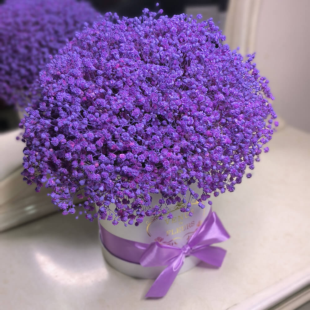 25 фиолетовых гипсофил в коробке