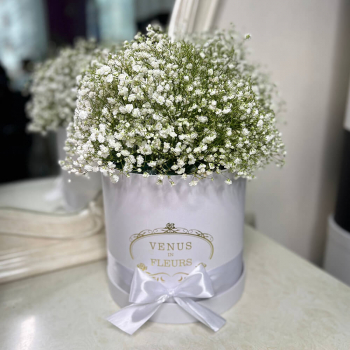 Белые гипсофилы в коробке - 9 шт.