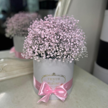 Розовые гипсофилы в коробке - 9 шт.