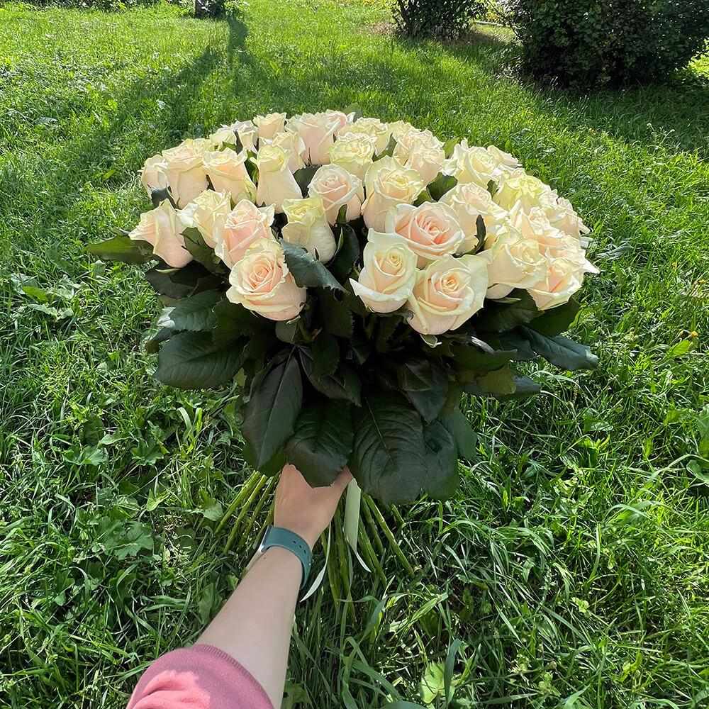 65 кремовых роз в букете