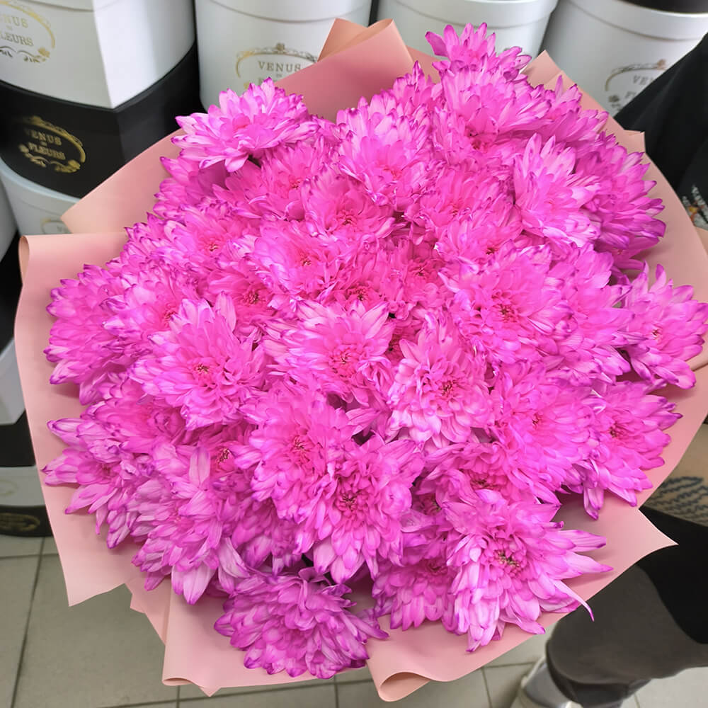 19 ярко-розовых кустовых хризантем 