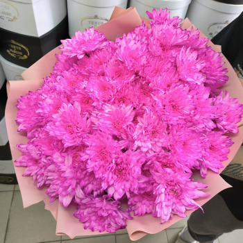 19 ярко-розовых кустовых хризантем 19 ярко-розовых кустовых хризантем