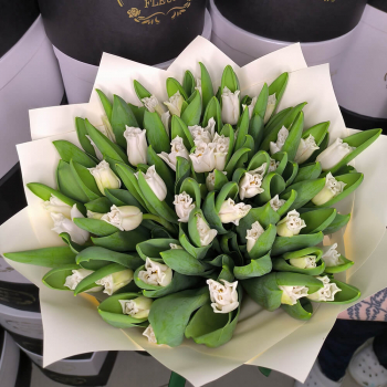51 белый тюльпан в букете