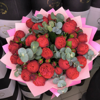 Пионовидные красные розы с эвкалиптом - 25 шт