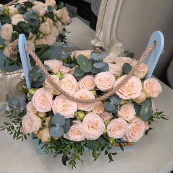 Кремовые кустовые розы в кашпо - 31 шт.