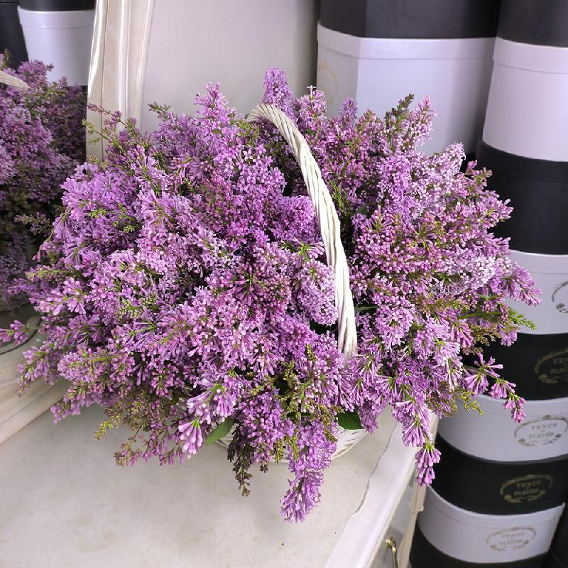 Корзина из веток сирени - 51 шт.