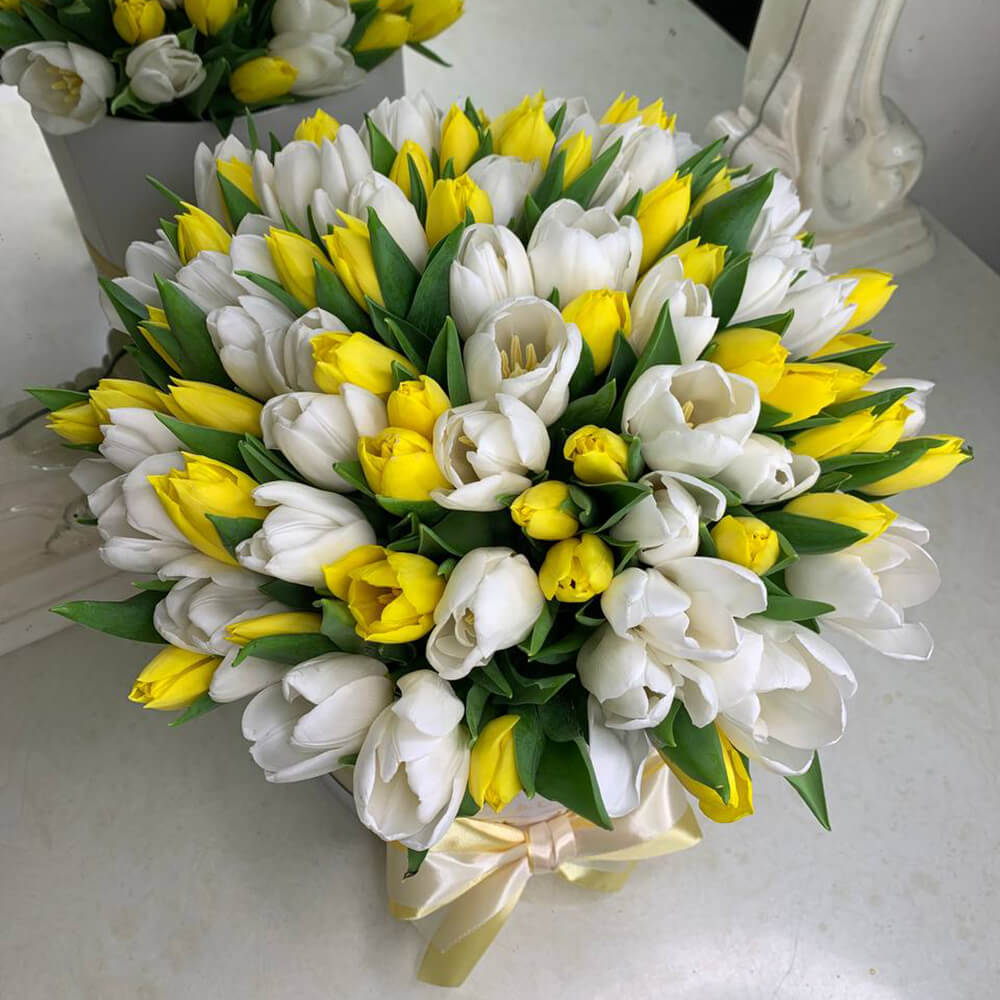 Бело-желтые тюльпаны в коробке - 101 шт.