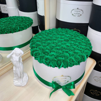 Темно-зеленые розы в коробке от 9 шт.