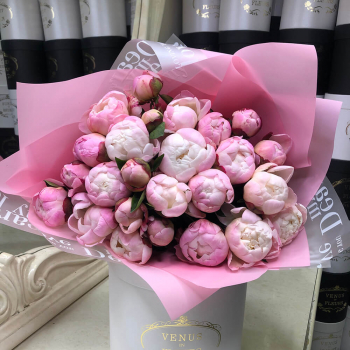 Букет нежных пионов от 9 шт.