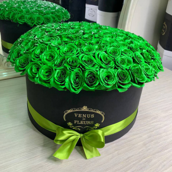 Зеленые розы в коробке - 151 шт.