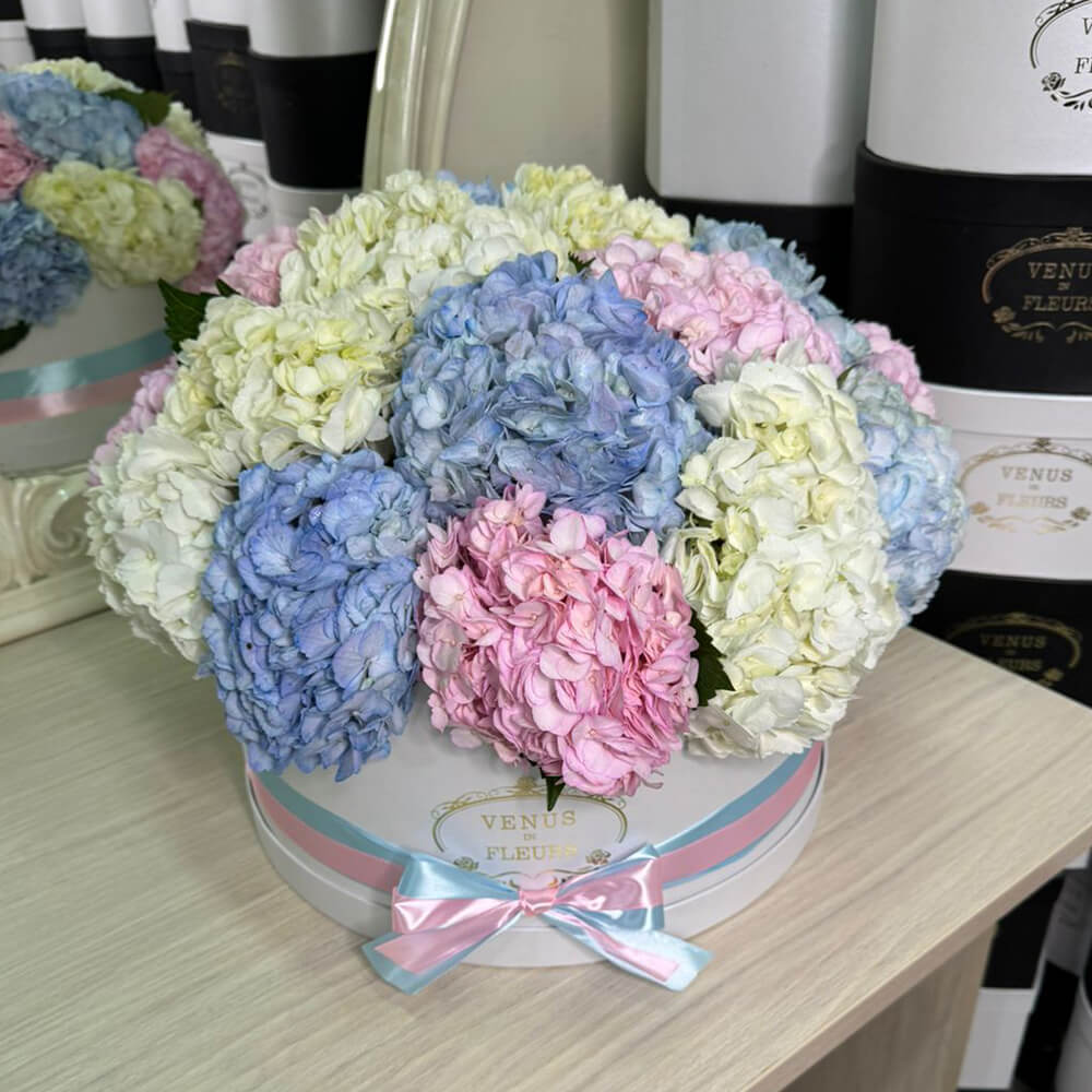 Разноцветные гортензии в коробке