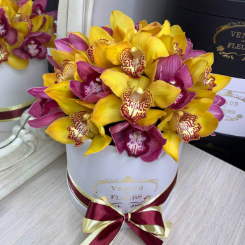 Розово-желтый микс из орхидей от 25 шт.