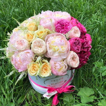 Пионовидные розы с пионами от 41 шт.