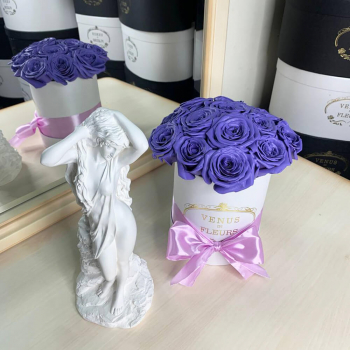 13 фиолетовых роз в коробке