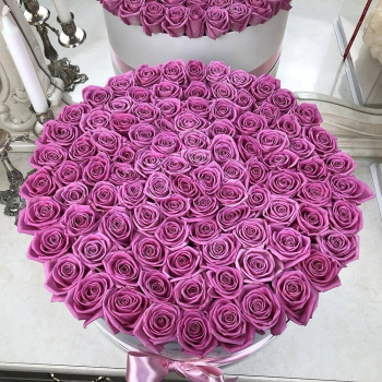Розовые розы в коробке от 81 шт.